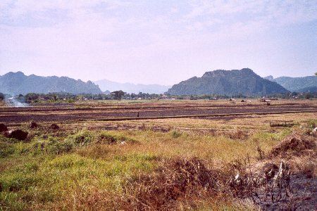 Grenze zwischen Reis- und Berglandschaft