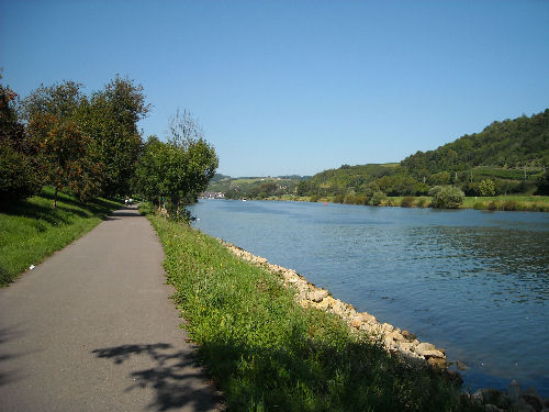 Piste Cyclable 3 an der Mosel