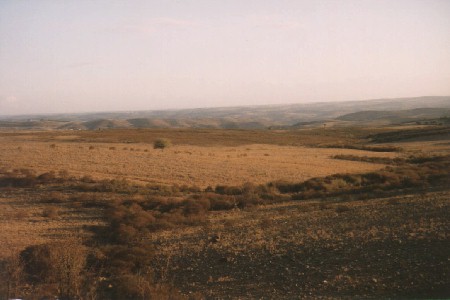 Landschaft im Alentejo