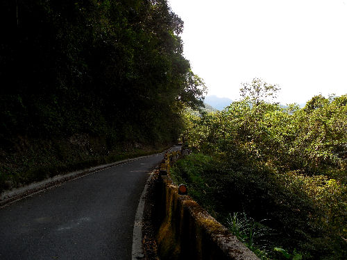 Northern Cross-Island Highway