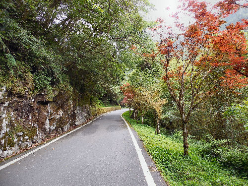 Northern Cross-Island Highway