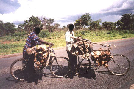 Holztransport in Zambia